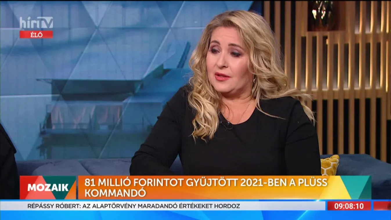 Mozaik - 81 millió forintot gyűjtött össze 2021-ben a Plüss Kommandó (2022-01-11)