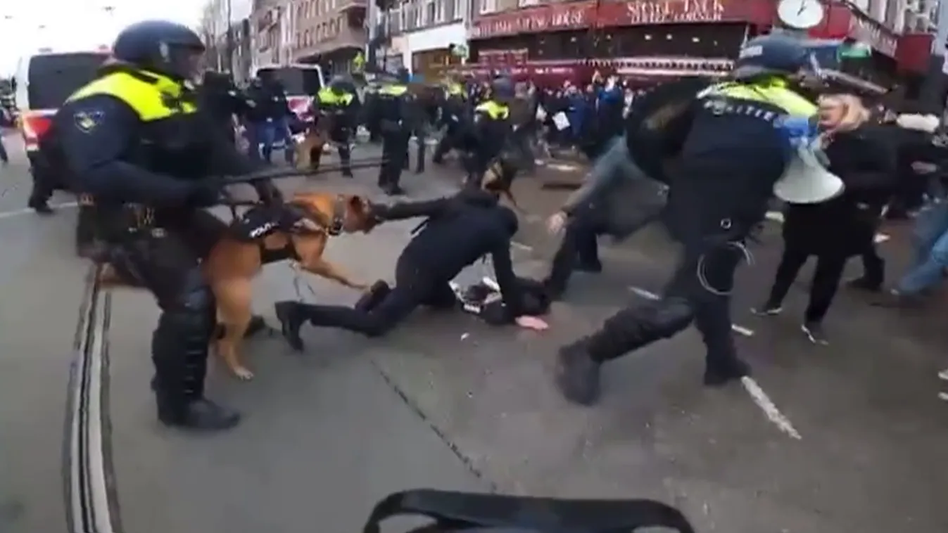 Rendőri brutalitás Hollandiában