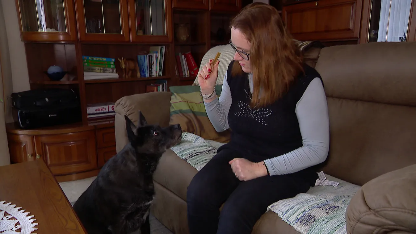 Radar - Vigyél haza!