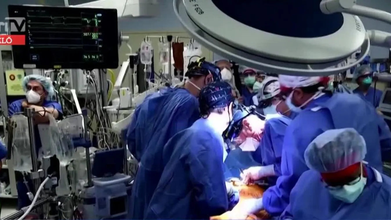 Radar: Orvosi csoda: Disznószívet ültettek át emberbe