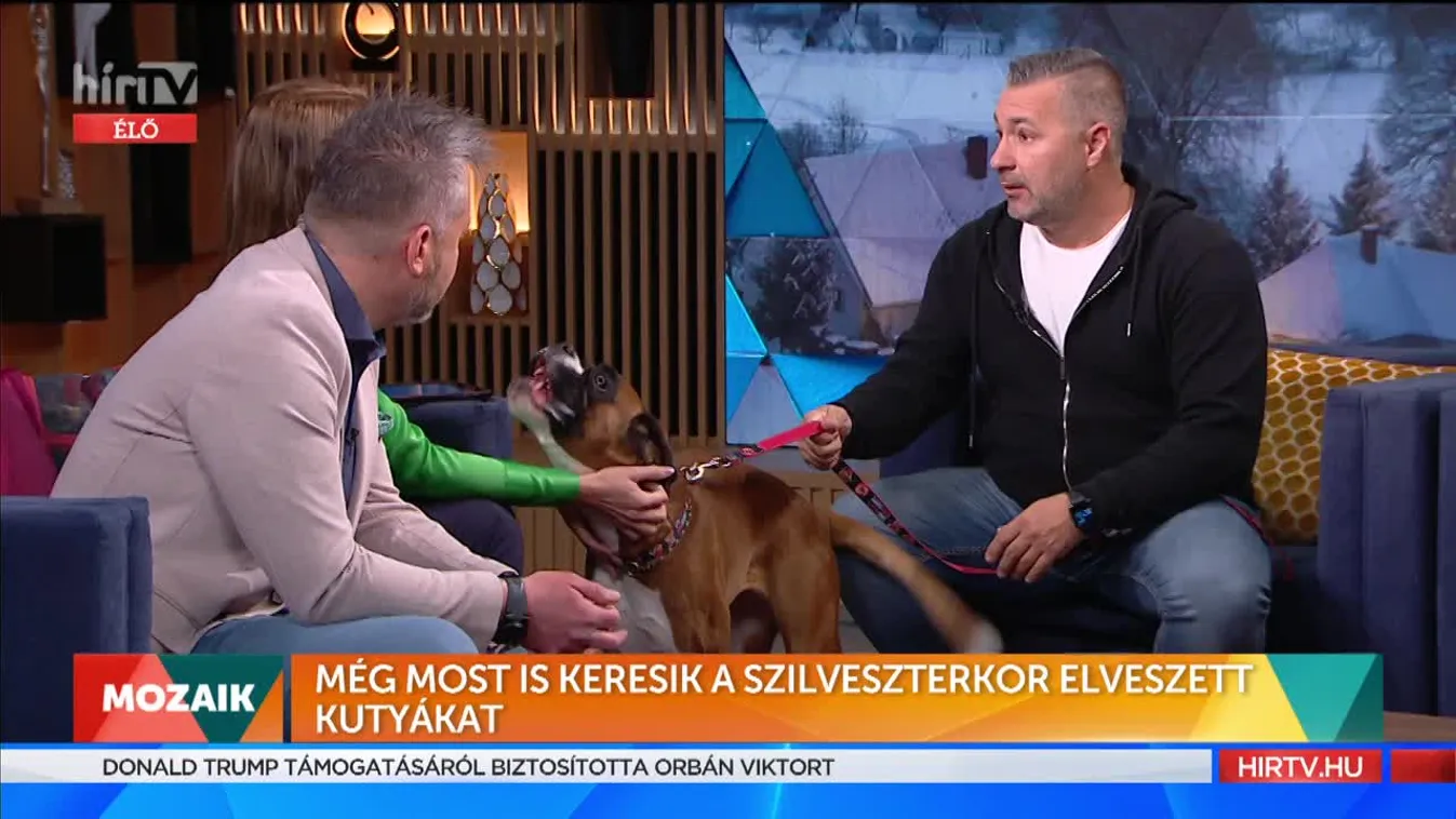 Mozaik - Még most is keresik a szilveszterkor elveszett kutyákat (2022-01-04)