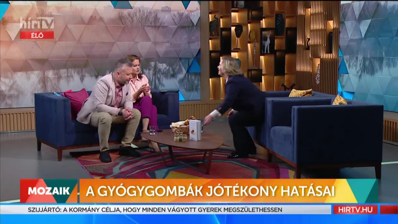 Mozaik - A gyógygombák jótékony hatásai (2022-01-18)