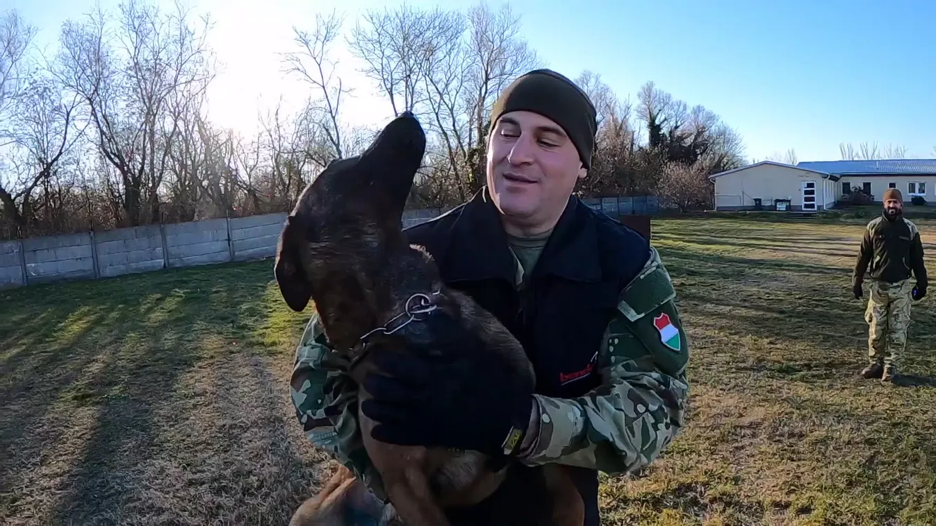 Radar - Négylábú bombakereső