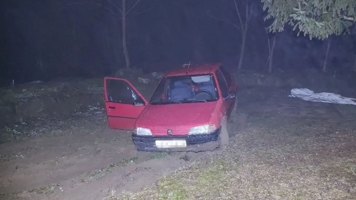 Szilveszteri tóparti - kerti tóba hajtott az autóval