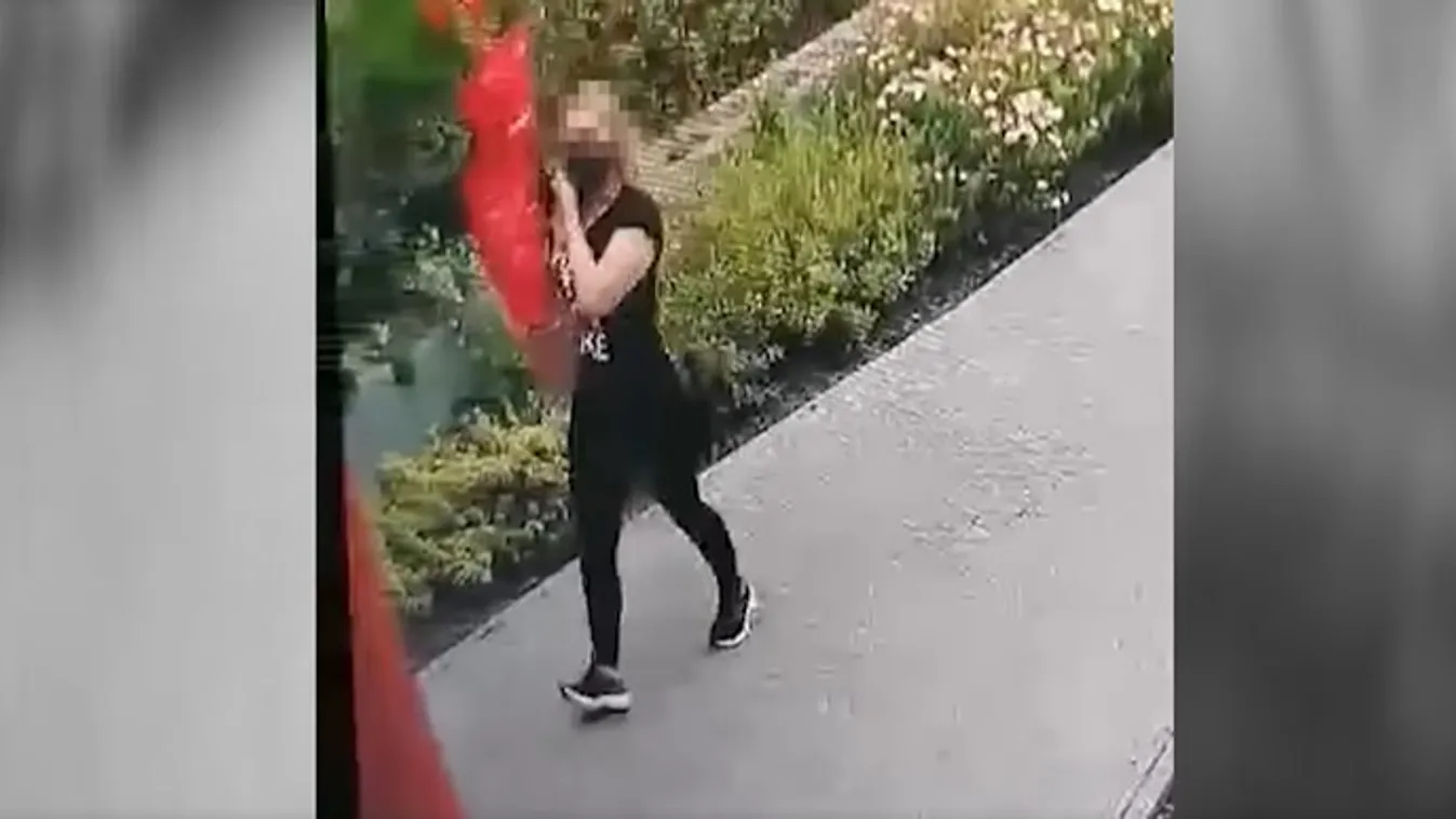 Volt barátnője bántalmazására és kirablására adott megbízást