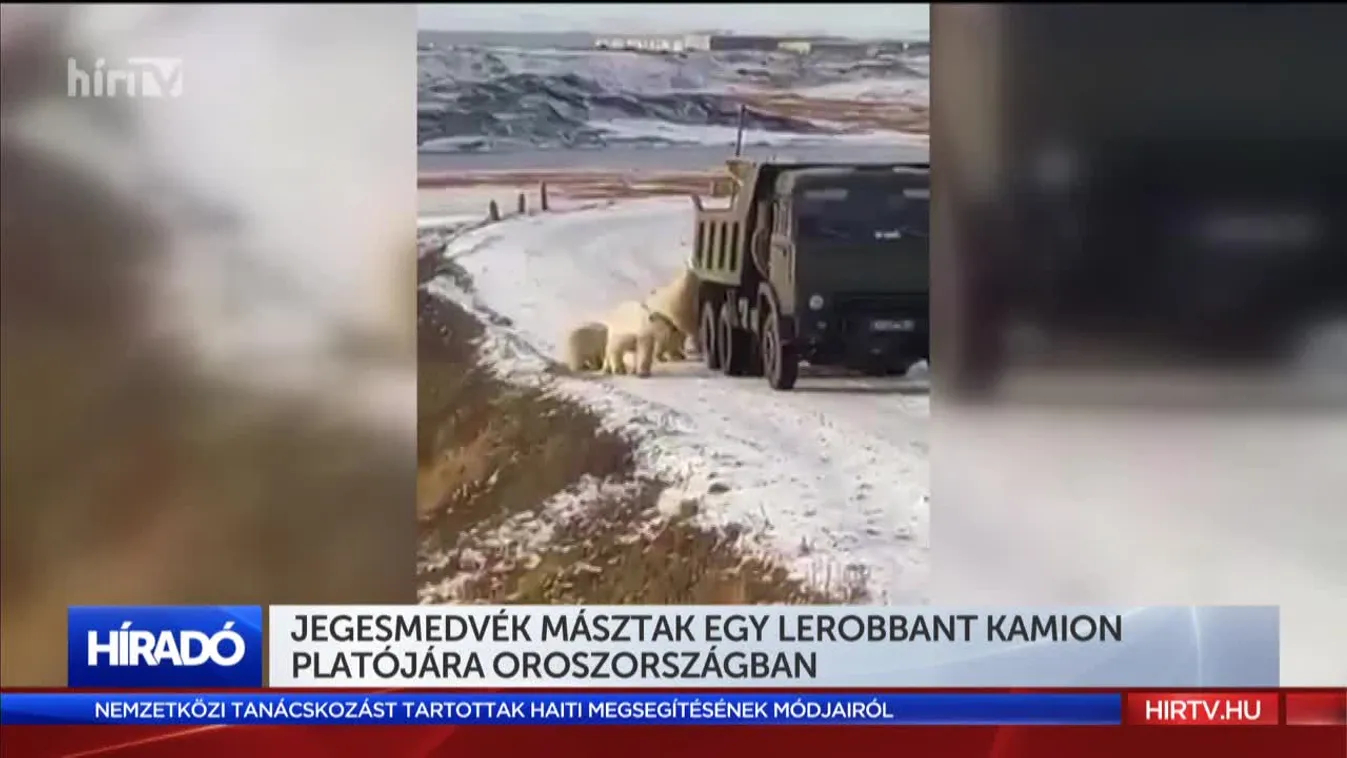 Jegesmedvék másztak egy lerobbant kamion platójára Oroszországban