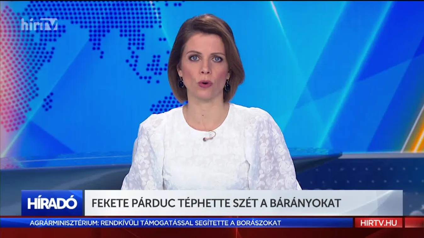 Fekete párduc téphette szét a bárányokat