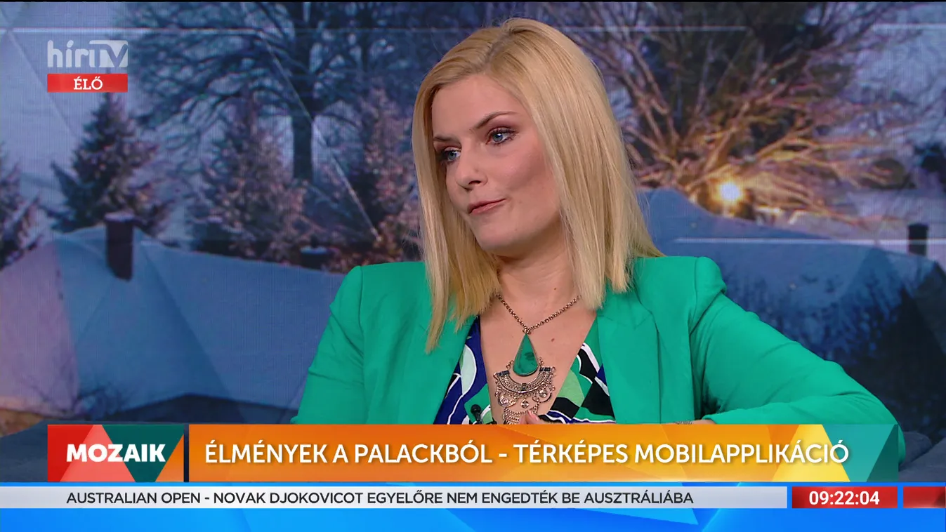 Mozaik: Élmények a a palackból