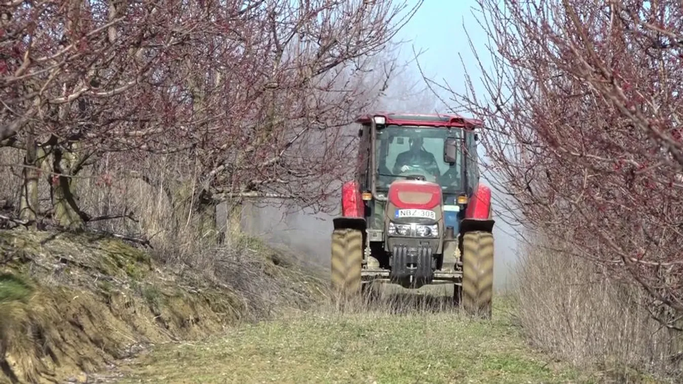 Soroló: Ilyen volt 2021 az agráriumban