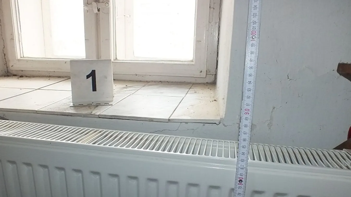 Arra ébredt, hogy balhét kell csinálnia