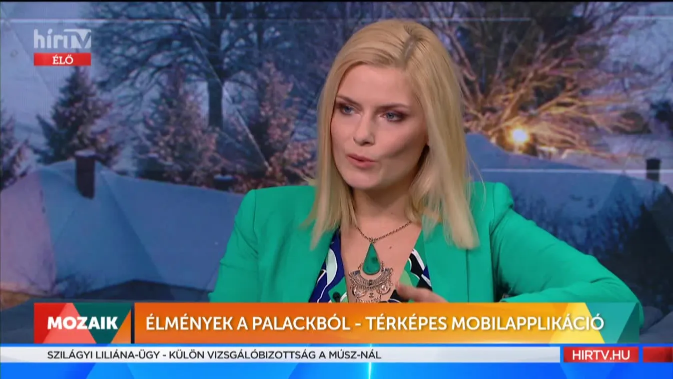 Mozaik - Élmények a palackból - térképes mobilapplikáció (2022-01-06)