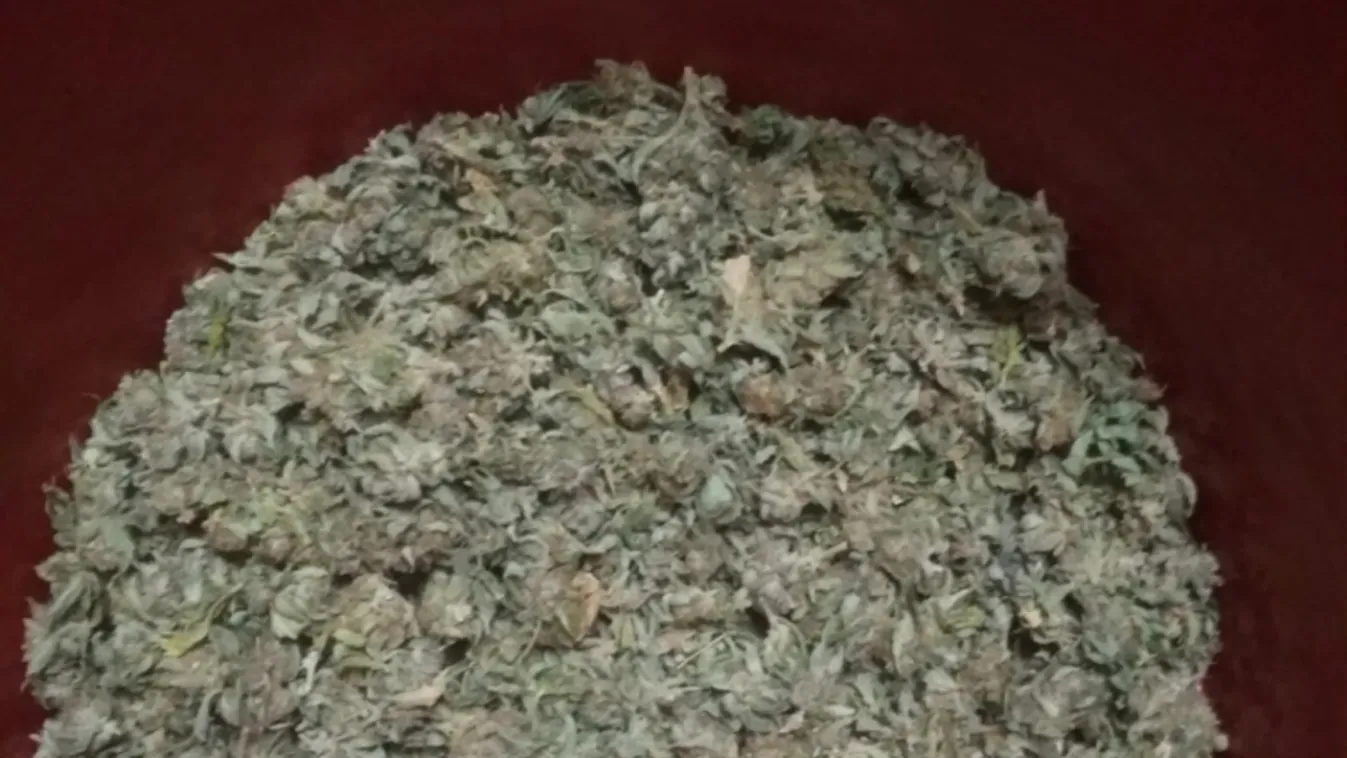 Őrizetben a dílerek