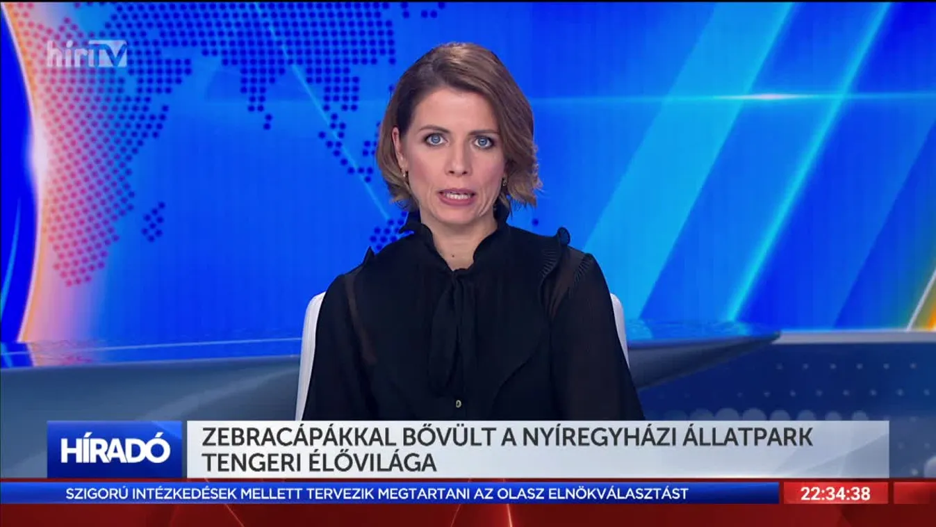 Zebracápákkal bővült a nyíregyházi állatpark tengeri élővilága