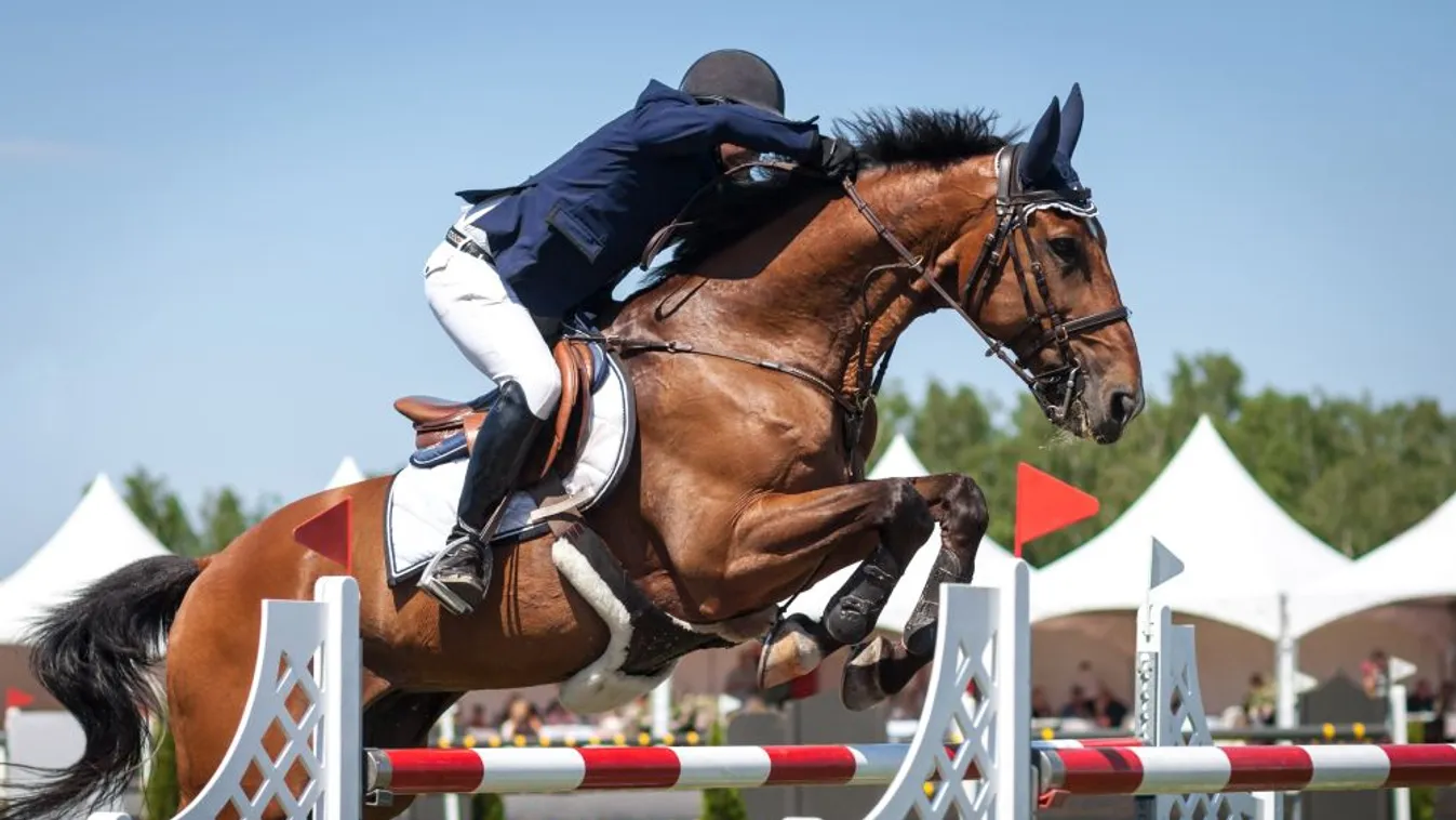 A székelyföldi lovassport százmillió forintos támogatását jelentette be Potápi Árpád János államtitkár