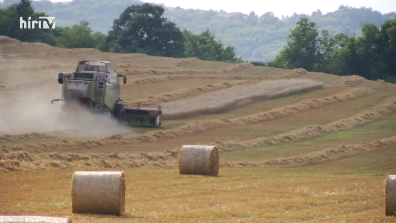 Soroló: Ez történt 2021-ben!