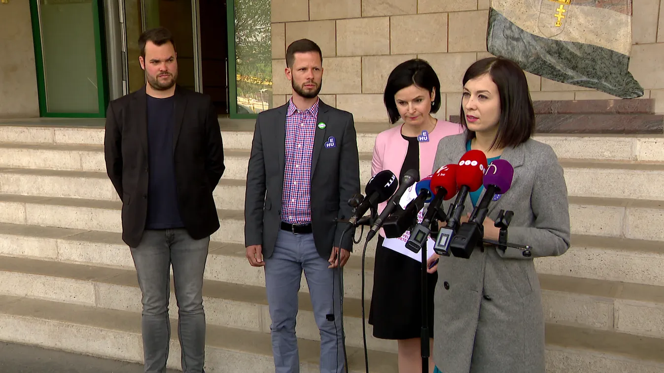 A Cseh Katalinékhoz köthető cégek bűnszervezetben dolgozhattak