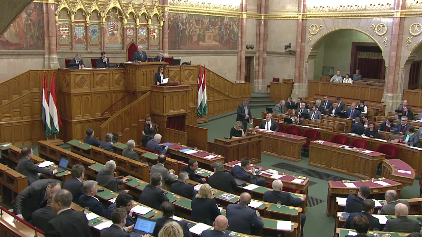 Fidesz: Magyarországot valójában a gyermekvédelem miatt akarják megbélyegezni