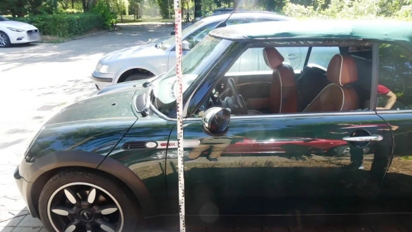 A járőrök még a helyszínen elfogták a dühöngőt