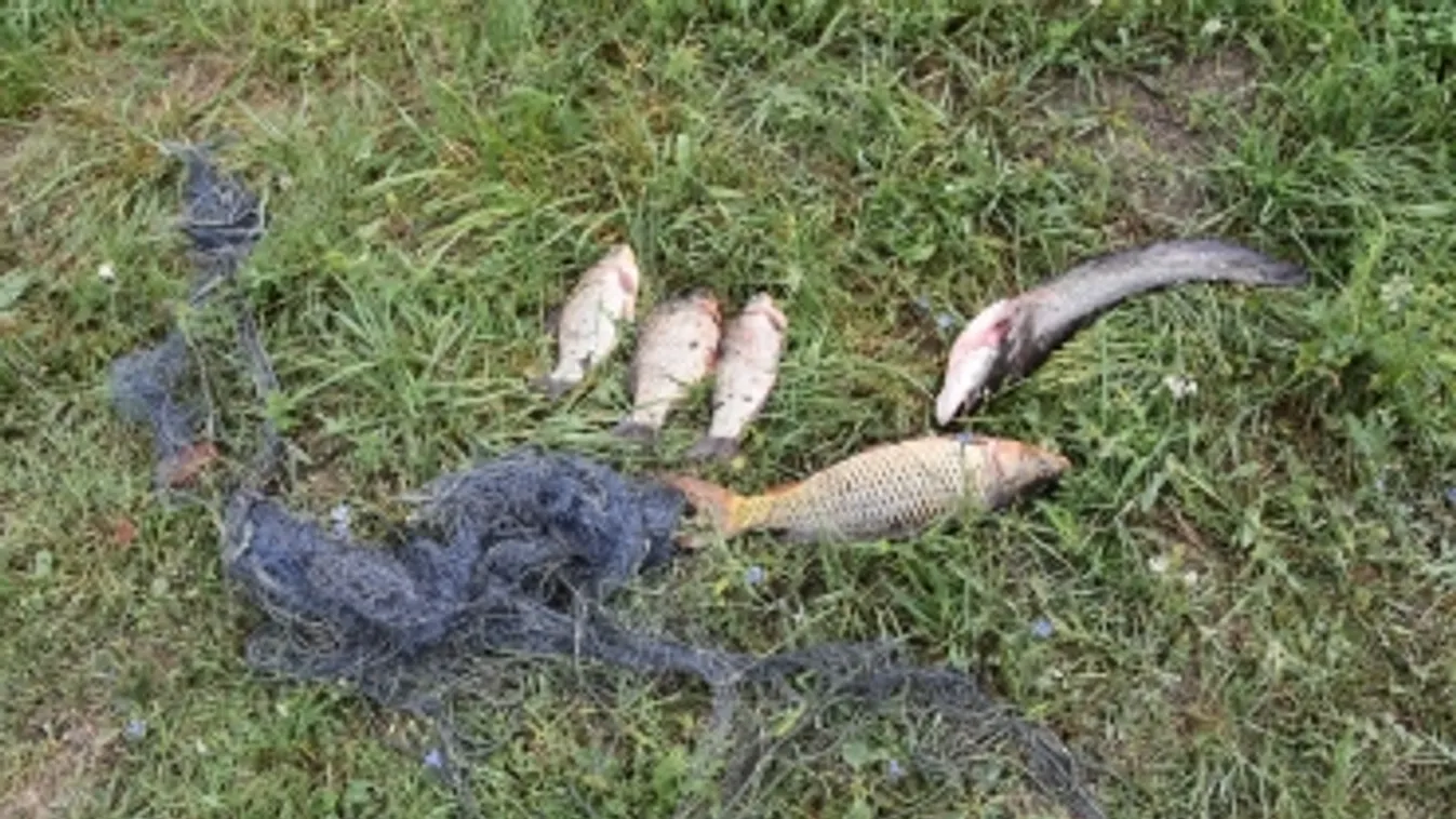 Lezárt akta: Fennakadtak a hálón