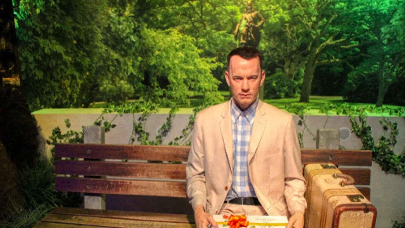 A Forrest Gump Oscar-díjas triója új filmen dolgozik