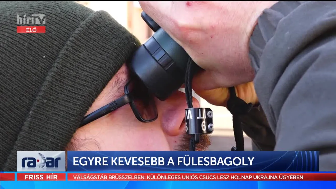 Radar - Egyre kevesebb a fülesbagoly (2022-02-23)