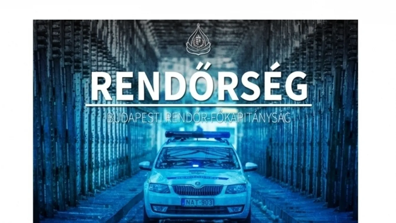 Szobapincér? Nem, rendőrség!