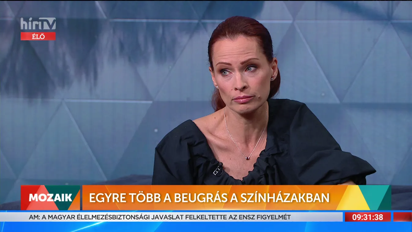 Mozaik: Egyre több a beugrás a színházakban