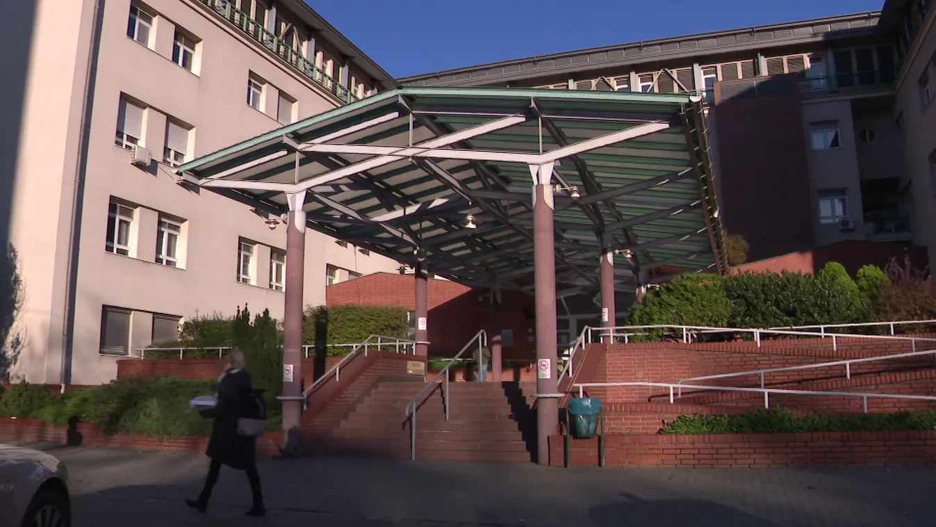 A baloldal miniszterelnök-jelöltje ismét fizetős egészségügyet akar bevezetni