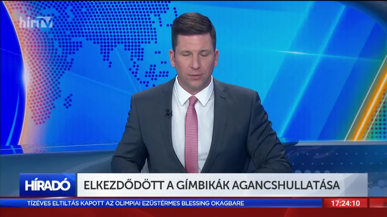 Elkezdődött a gímbikák agancshullatása