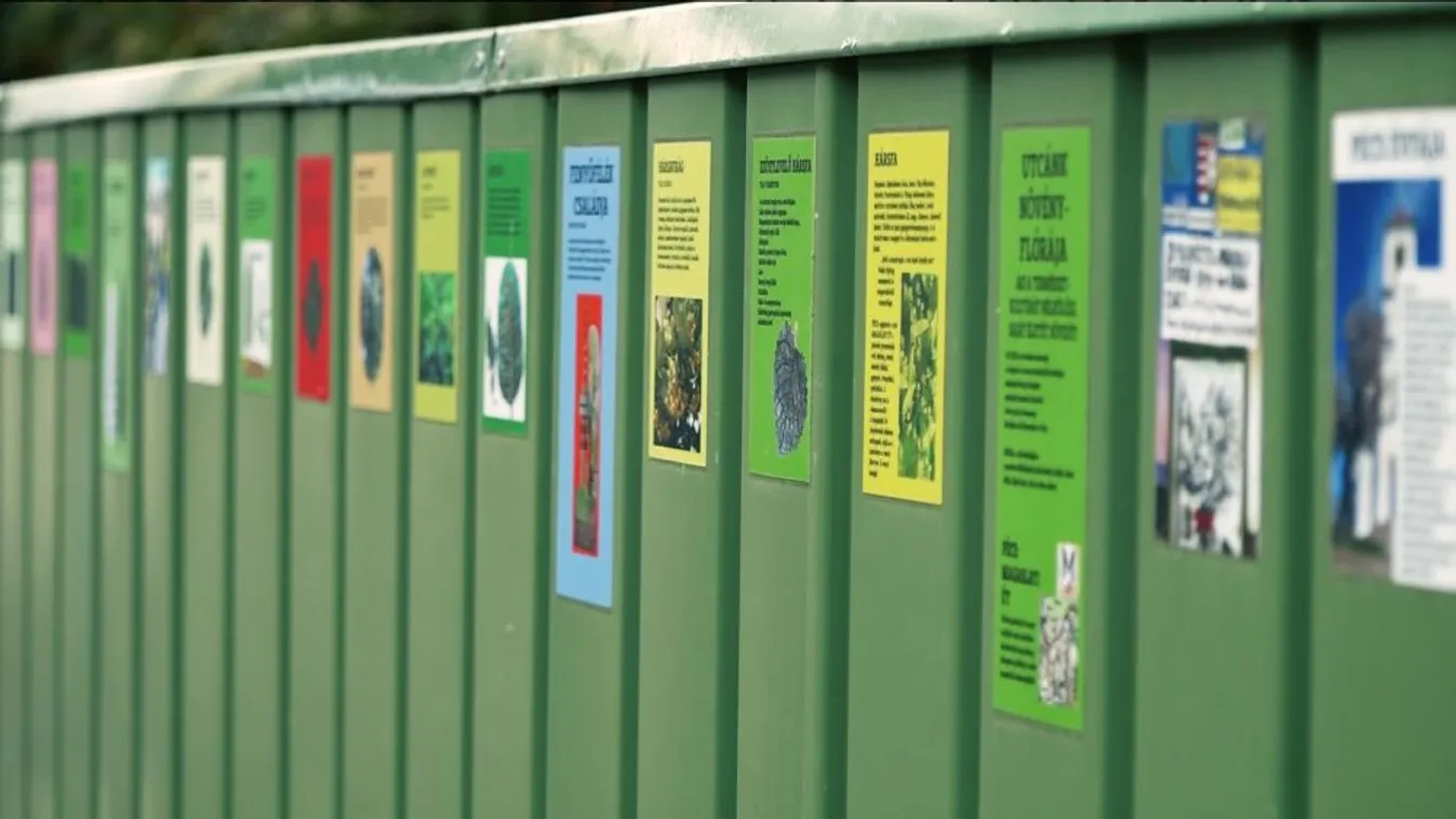 Radar - Különleges kerítés