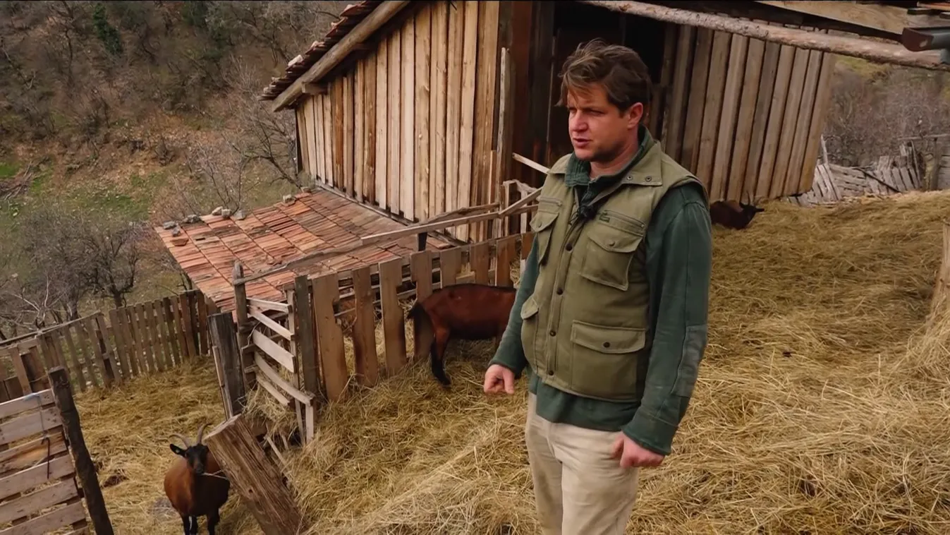 Radar - Szobrászból kecsketenyésztő