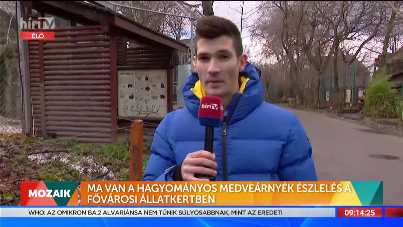 Mozaik - Ma van a hagyományos medveárnyék észlelés a Fővárosi Állatkertben (2022-02-02)