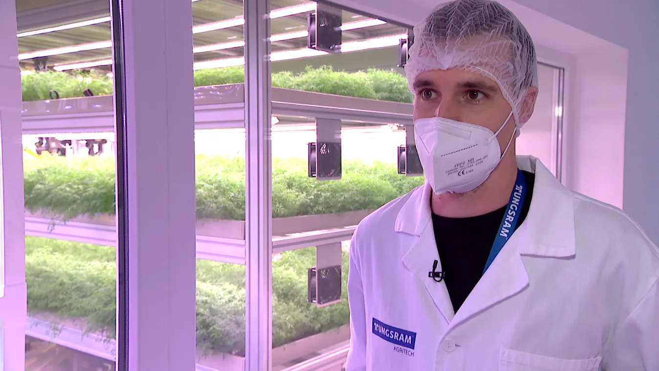 Radar - High-tech növénytermesztés