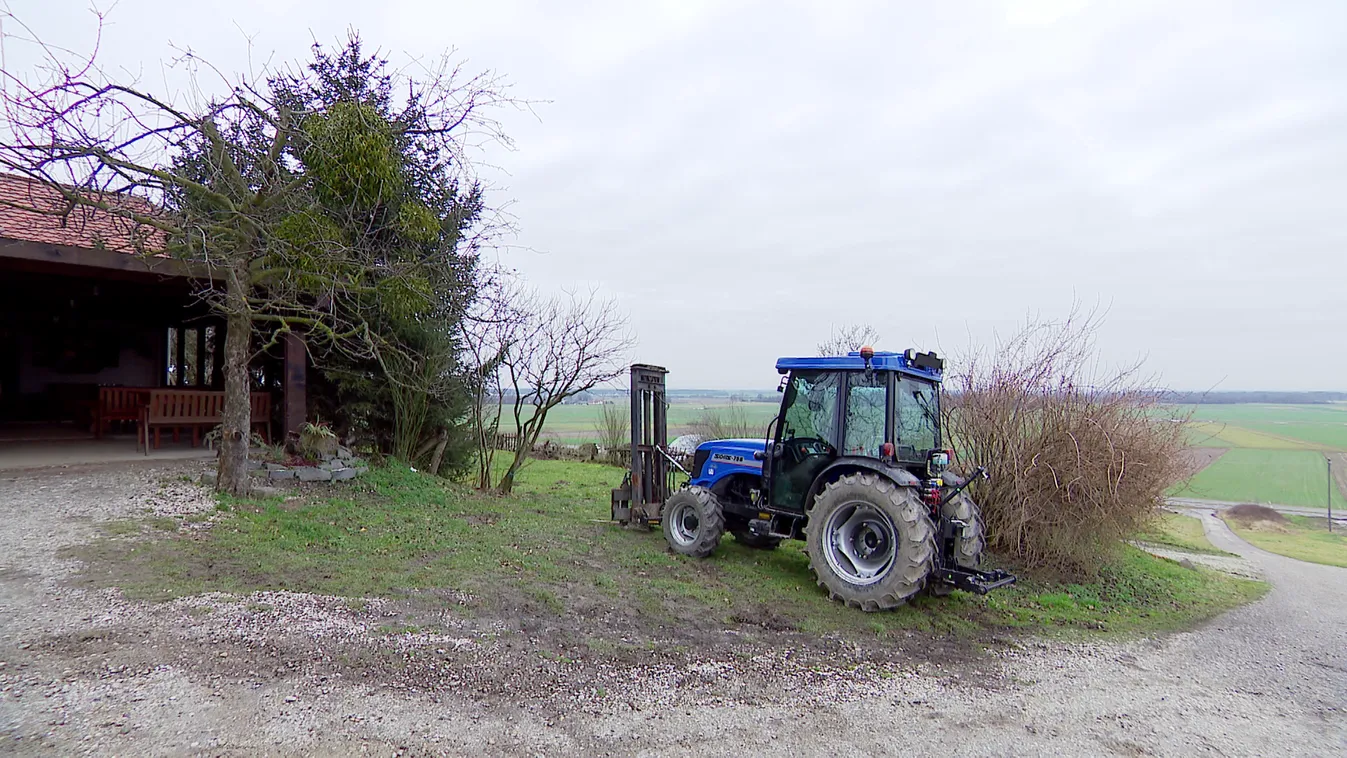 Létrejöttek a korszerű szőlő- és bortermelés alapjai Magyarországon