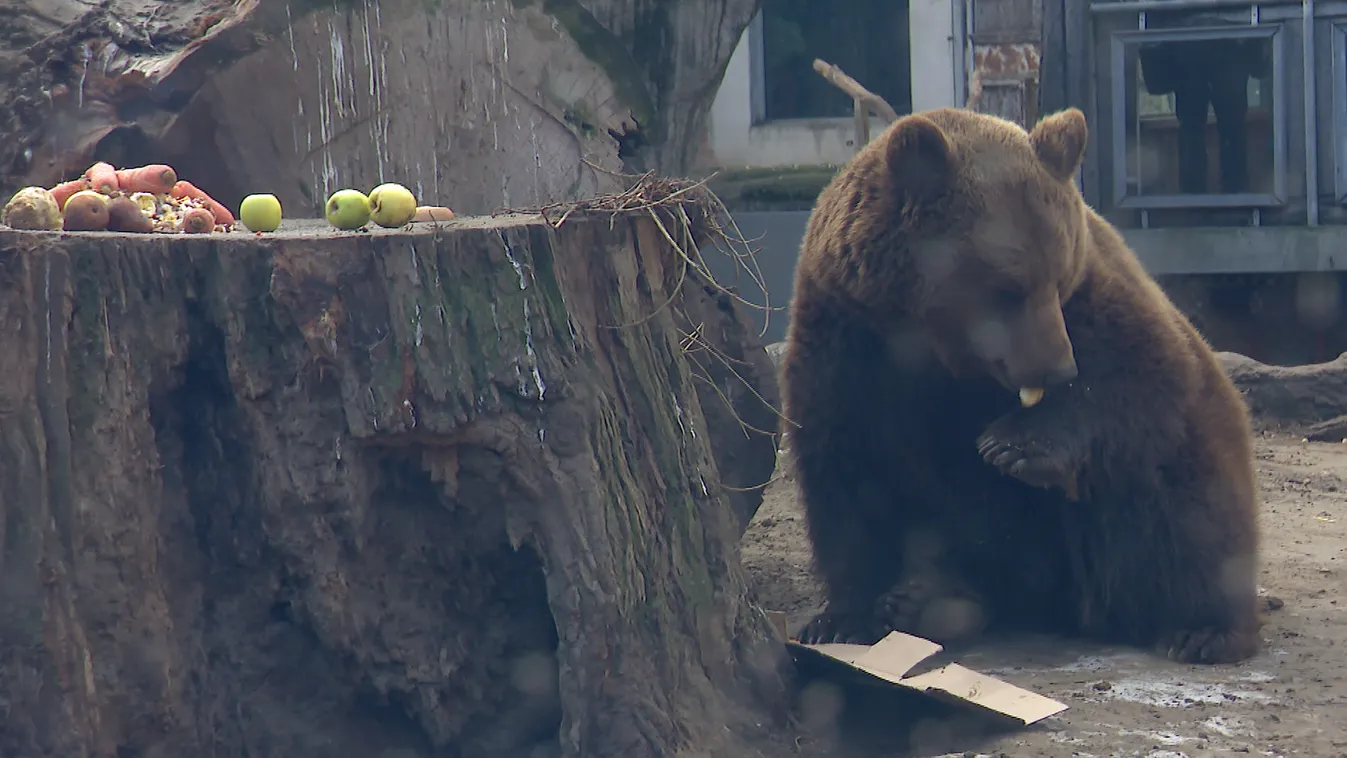 Radar - Hugi az időjós