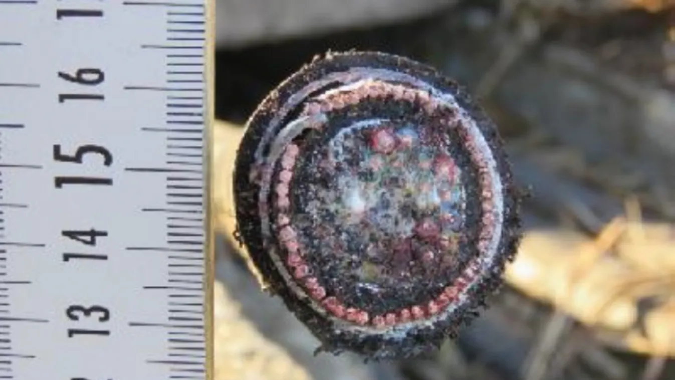 Tetten ért kábeltolvajok