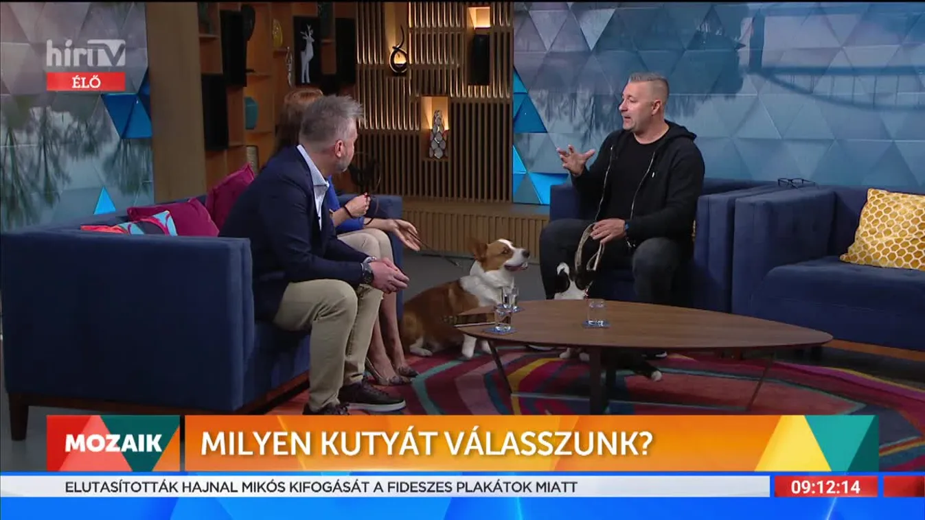 Mozaik - Milyen kutyát válasszunk?