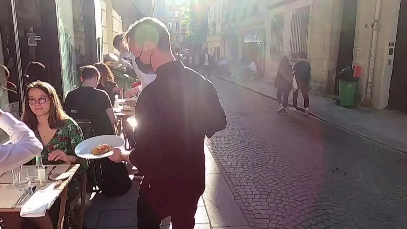 Radar - Rovarok a tányéron