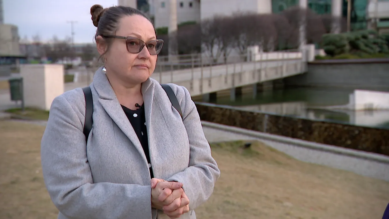 Radar - Kárpátaljai művészek a háborúról