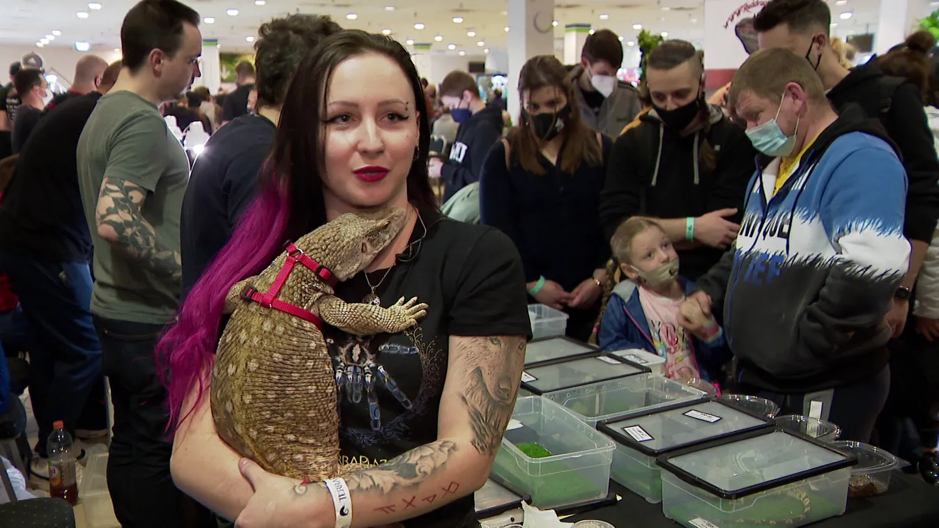 Radar - Egzotikus állat kiállítás és vásár