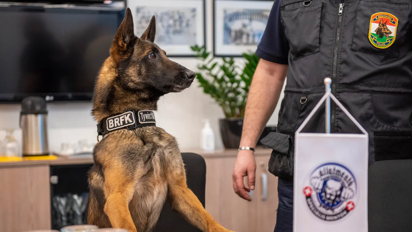 Rendőrkutyák jelenlétében deklarálták az új állatvédelmi megállapodást a BRFK-n+VIDEÓ