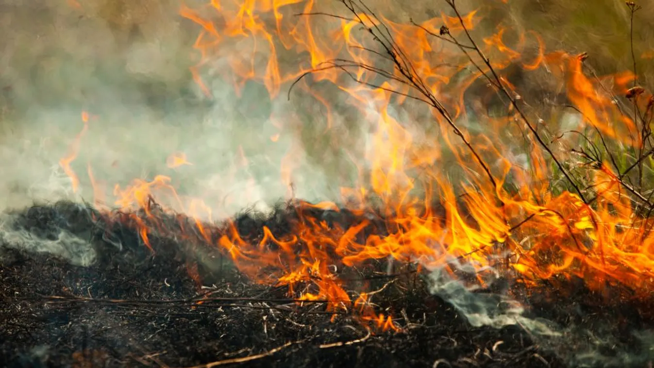 A szabadtéri tűzgyújtás veszélyére figyelmeztet a katasztrófavédelem
