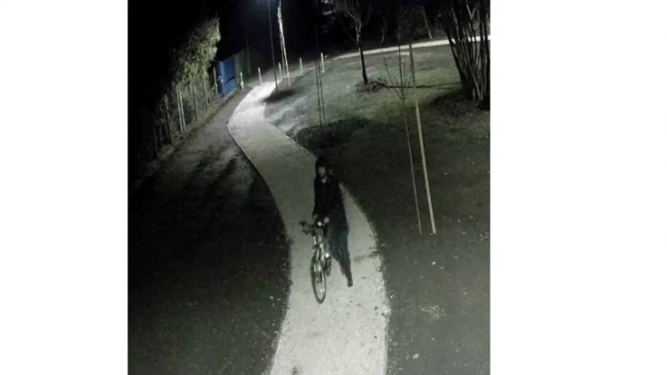 Fákat rongált, keressük