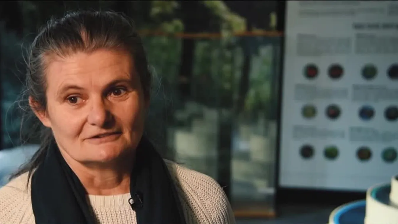 Radar - Medvehagymaszezon