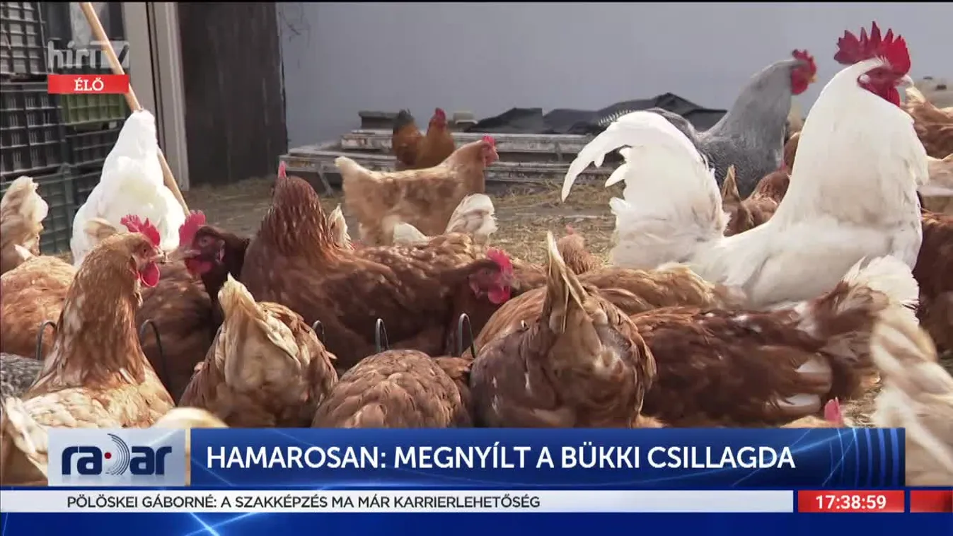 Radar - Minden nap küzdelem, de ez élteti (2022-03-11)