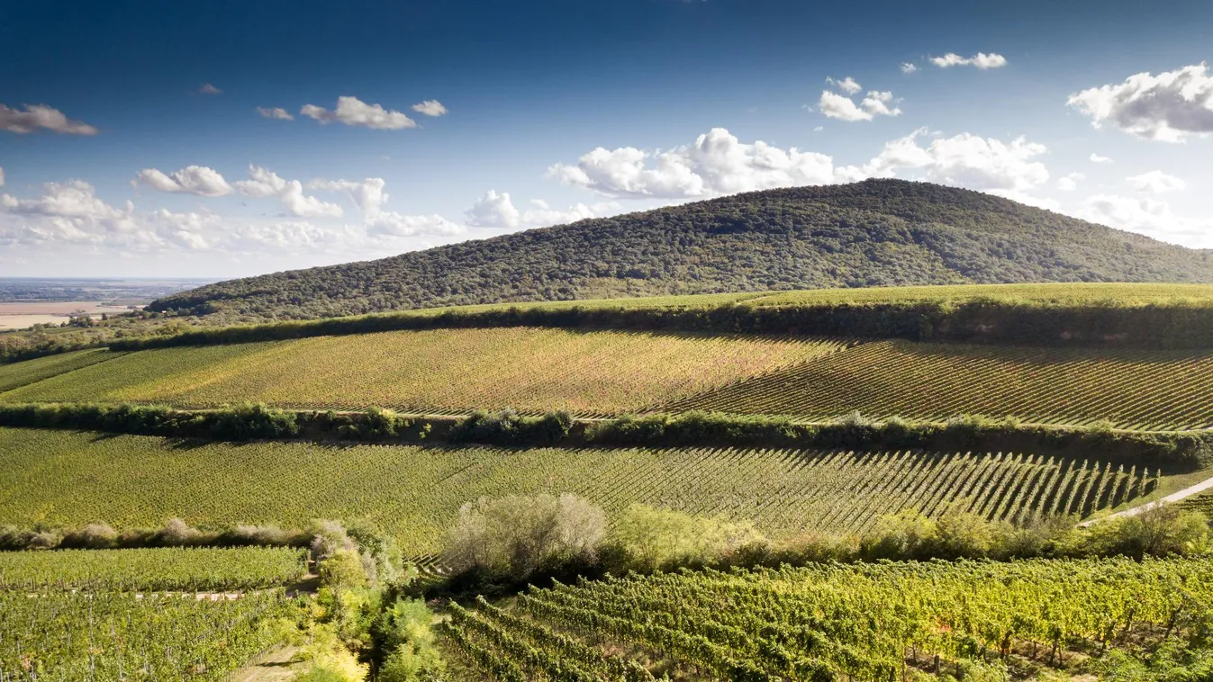 Villányra figyel a világ!