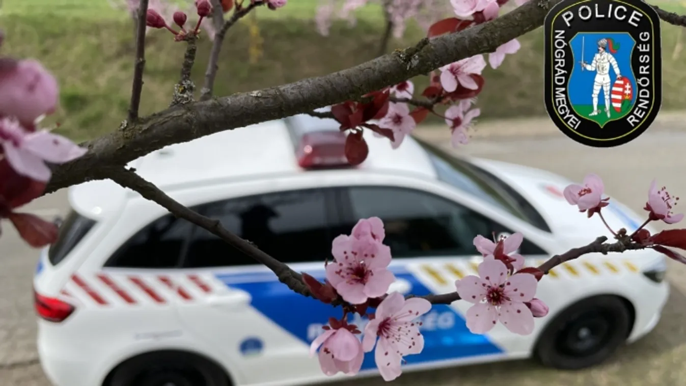 Ékszert lopott, elfogták