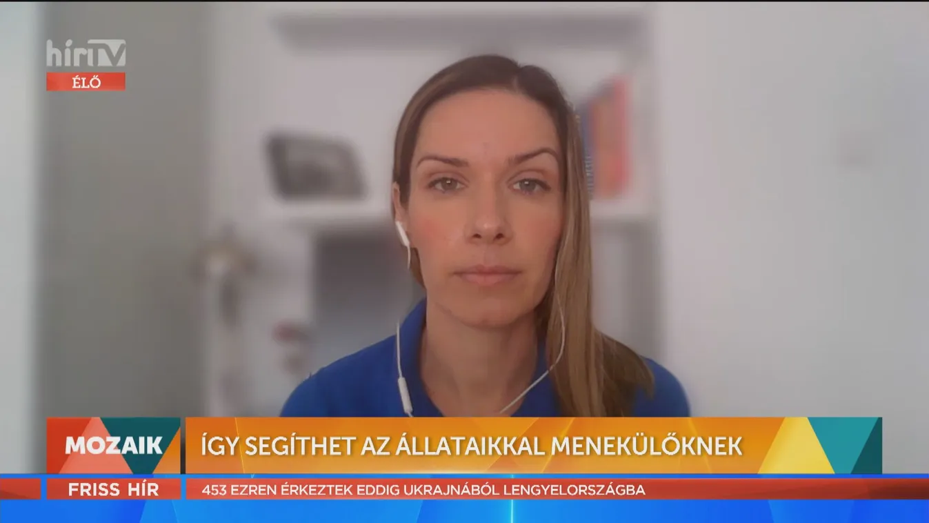 Mozaik - Így segíthet az állataikkal menekülőknek