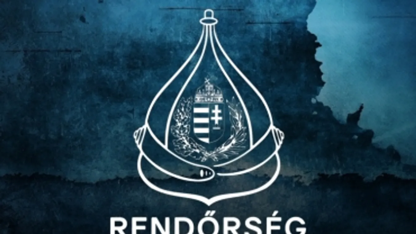 Életmentő kísérés