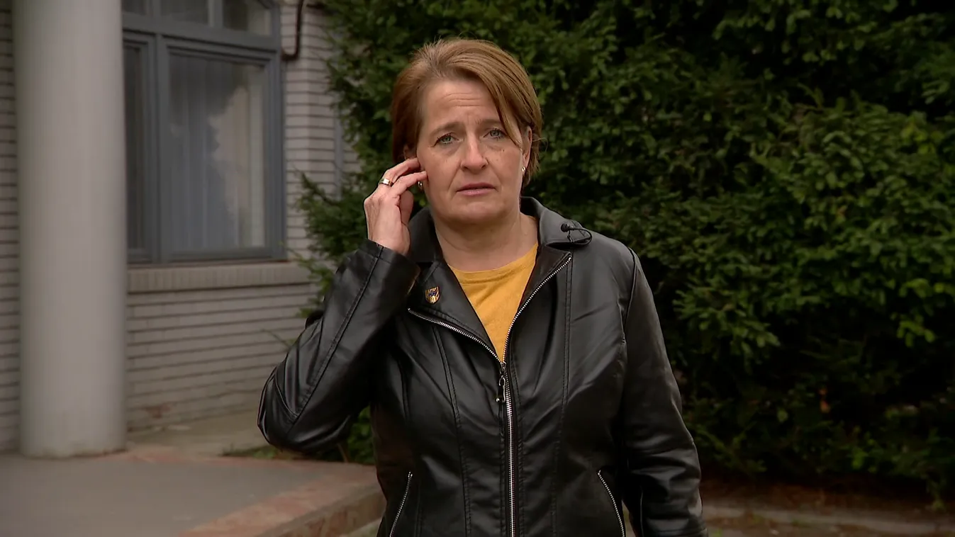 A menekült kutyák is kapnak segítséget